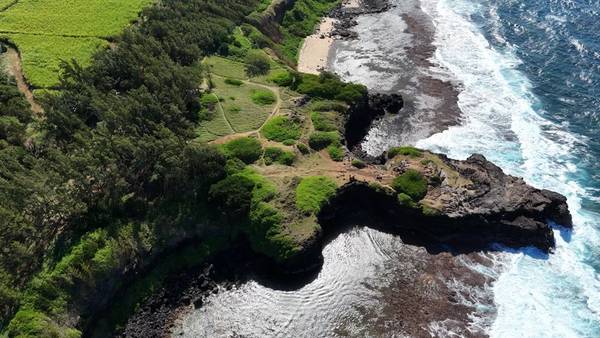 На дикий юг Маврикия — из Порт-Луи