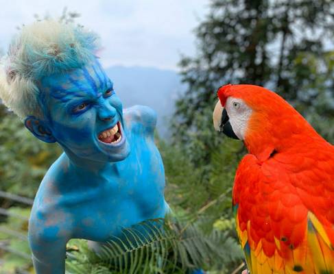 Китай. Горы Аватара и Гуйлинь